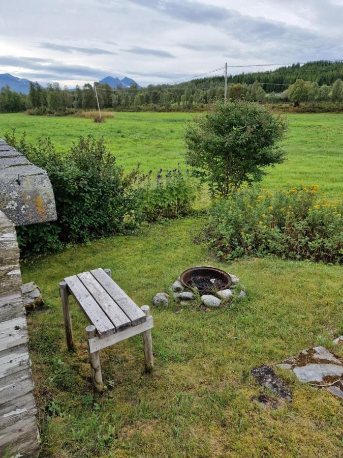 Warm And Cozy Cottage, Great Location Kvaloya ภายนอก รูปภาพ